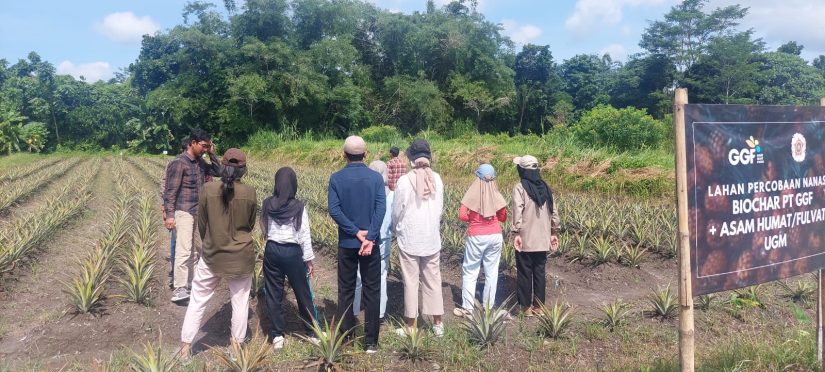 Penelitian Biochar UGM-PT GGP Dukung Ketahanan Pangan dan Kesejahteraan ...